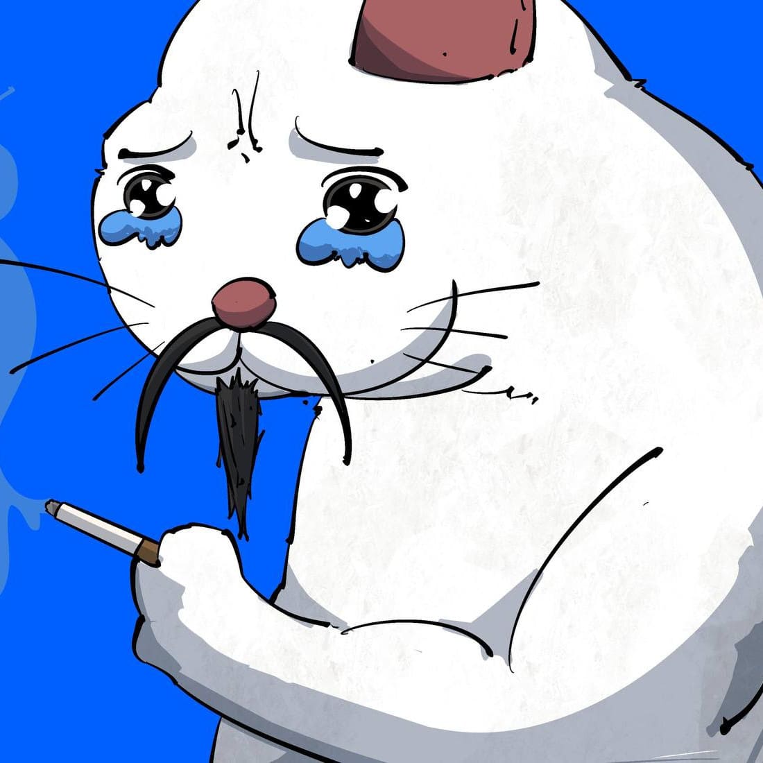 Sad Cat